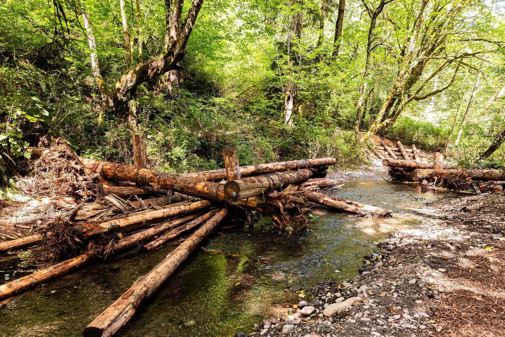 Swan Creek Channel Restoration