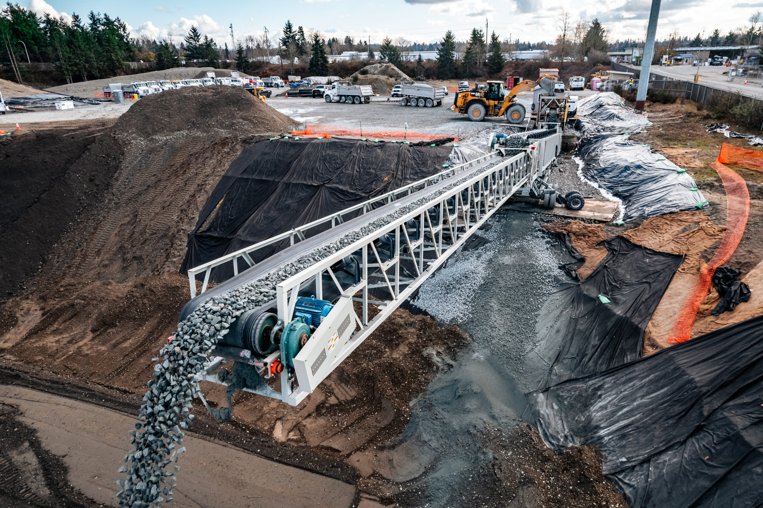 Environment: Monroe Avenue NE